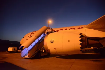 DSC_7449 (Large).JPG